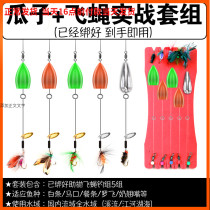 Luya bait Melon seed sequin set Black and white stripes Makou Luo Fei Luya Booster Melon seed kernels Copper