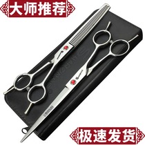 Teddy Dog Professional Pet Grooming Tool Set 7 inch dog shearing scissors poodle haircut 6 inch
