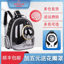 Dress Kittys Backpack Pet Space Cabin Kitty Backpack Outside With Chest Front Double Shoulder Large Space Bag