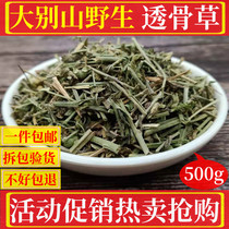 Overdraft osteoclature New stock 500g grams of pearl overdraft osteoclature Bone Grass Powder Herb herbal Herbal Medicine Shop