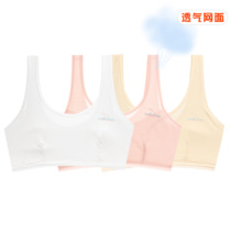 Girls underwear development period 13-year-old breathable mesh summer vest Primary School students first stage girl bra