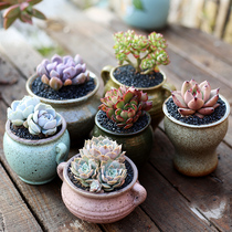 Platinum jade succulents flower pot vintage breathable coarse pottery small old pile potted plant quaint creative indoor meat pot