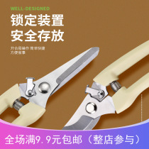 Fruits and vegetables Scissors Stainless Steel Pruner Cuts of Fruits Flowers Wood Branches Cut Garden Fruit Trees Flower Branches Gardening tools