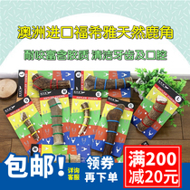 Australian Foshia pet dog molars natural antlers artifact tooth replacement period dog snacks bite resistant