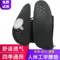 Car waist close to summer care back cushions Breathable Mesh Driver Car Seat Multifunction Ergonomic Waist Cushion Four Seasons