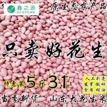 20 years of Shandong new Peanuts large and medium-grained fresh selection of farmers self-growing bulk peanuts