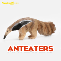 Play Mold New Solid Children Emulation Wildlife Model Toys Reptile animal food ants Early teaching cognition