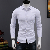 Shirt men long sleeve casual slim spring dress Korean trend stripe top young and middle-aged business dress mens shirt
