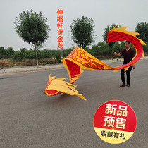 Square dance fitness dragon ribbon telescopic rod Adult color silk dance dragon floating ribbon dragon middle-aged and elderly bronzing dragon sermon