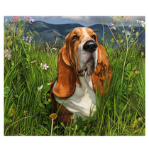 New products Su Zhangfeng Wangcai Realistic Boutique Oil Painting