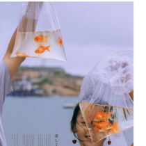 New travel props simulation goldfish wedding shooting Japanese hipster theme fake fish documentary wind photo props