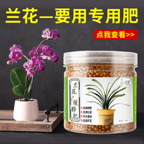 Orchid special Fat Junko Lan Domestic granules slow release fertilizer Butterfly Orchid Fertilizer Crab Claw Orchid Fattening Organic Fertilizer