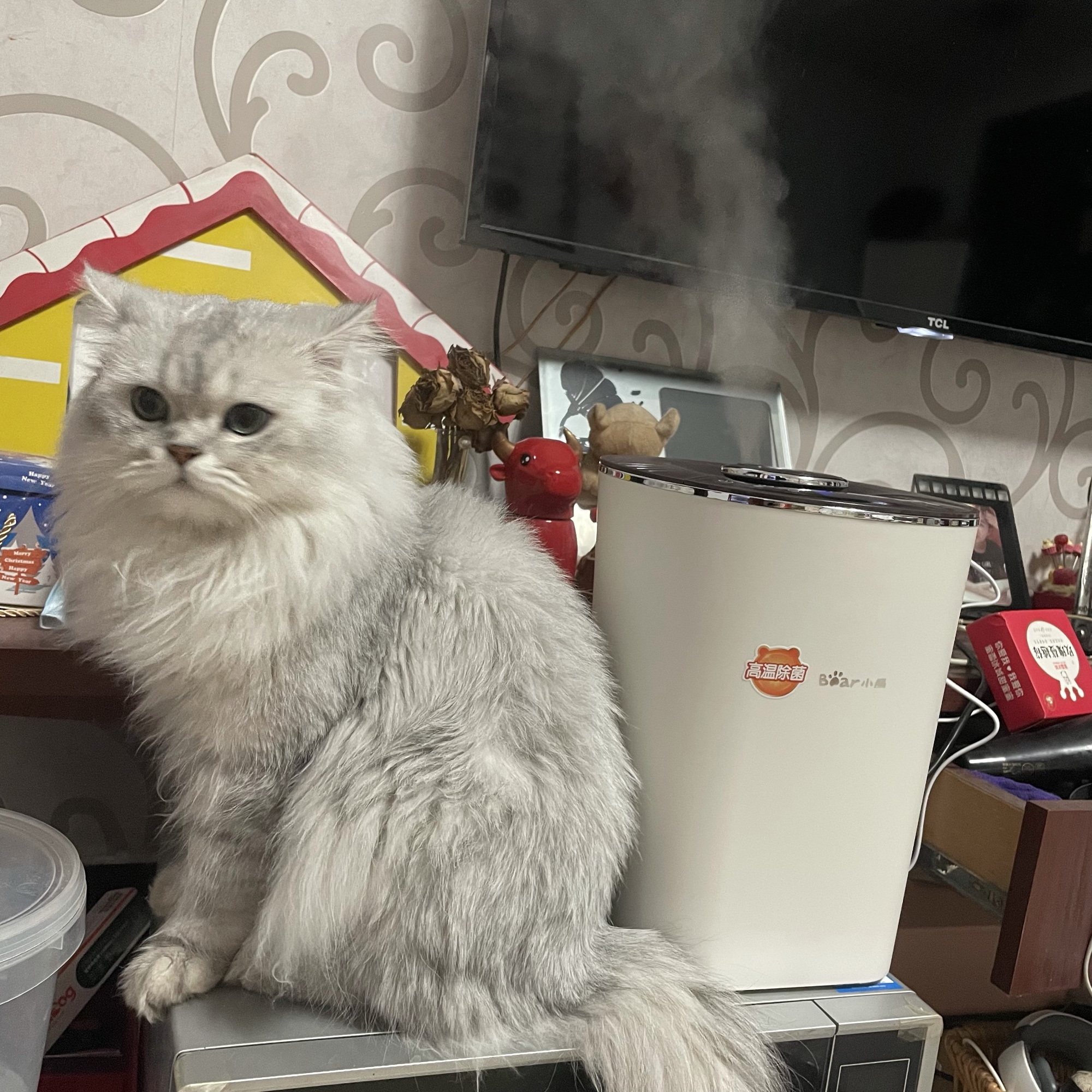 小熊加湿器怎么样，小熊加湿器不工作是什么原因