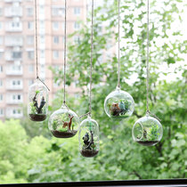 Memelight microscape pendulum pieces glass dragon cat moss potted room living-room bookcase adornment plant bonsai