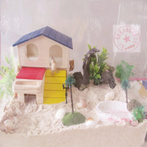 (Lusheng hosts crab) New hand pets suit living crawl watching crab with large rearing box to bag live