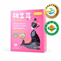 Xulun Manor Organic Samburg Children Ten Black Mular Ear - wood Baby Organic Samsung