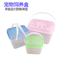 Small fish tank Mini pet rearing box Childrens hand plastic kindergarten tadpole raised snails special box