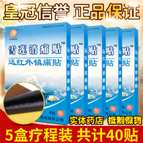 5 boxes of treatment packs 40 stickers Anhui Dongming snow lotus pain relief stickers Far infrared lumbar and leg pain analgesic cervical lumbar pain