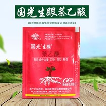 Guoguang Sheng Heel Powerful Rooting Powder Naacetic Acid Multimeat Moonwood Flower Plant Cuttage Transplanting Rooting Agent