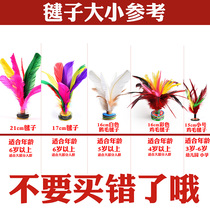 Chicken feather shuttlecock big collection adult children fitness color goose feather shuttlecock Primary School competition big flower shuttlecock