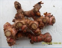 Fresh alpine south ginger 500g Long-term supply of various agricultural products Thai Dongyin Gong Soup gourmet sauces