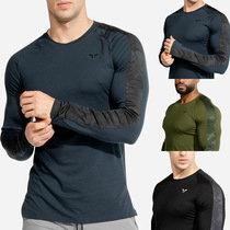 Spring New Fitness Muscle Sibling Sport Speed Dry T-shirt Male elastic tight running round collar outdoor long sleeves