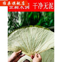 Whole Zhang Dry Lotus Leaf 2020 Fresh Lotus Leaf Sun Dried Glutinous Rice Chicken Lotus Leaf 500g called Flower Chicken Micro Mountain Lake Porridge