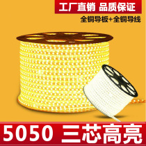 Hot sale super bright LED light strip inside and outside the room monochrome white light yellow light living room ceiling 5050 light strip waterproof 220V