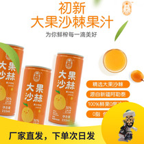 Early new sea buckthorn big fruit sea buckthorn juice beverage 235ml * 12 cans whole box of raw juice content high 30% Xinjiang