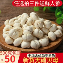 Fritillaria ussuriensis maxim 500 grams bulbus fritillariae thunbergii large Fritillaria medicines Fritillaria a Fritillaria has ping bei Fritillaria