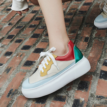 Matsugarcake thick-soled small white shoes female 2021 New White take Korean leather lace-up colorblock casual ulzzang board shoes