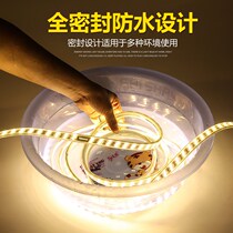  LED light belt Double row high-brightness light strip 2835 three rows of super bright line lights living room dark slot ceiling colorful waterproof light belt