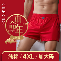 Big Red year underwear mens wedding four-corner shorts head cotton boxer pants loose cotton Aro pants year of the Tiger