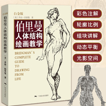 Brian's human structure painting platinum version of human structure modeling hand-painting technique used by painter to dissect the character sketch velographic script copying basic introduction anime art teaching tutorial text