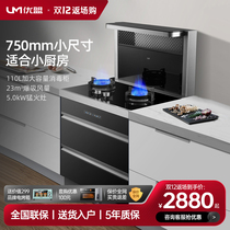 Youmeng UJ220 integrated stove household small size smoke stove elimination package integrated range hood stove disinfection cabinet set