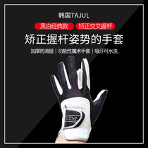 Physical spot golf gloves mens ultra-fiber cloth breathable correction grip function High-elastic fit washable