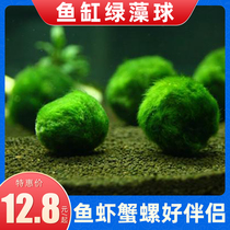 Fish tank Aquarium View Negative Water Grass Seaweed Ball Green Algae Ball Eco Bottle Green Bathball Water Algae Ball Microscape