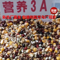 Xiaolong pigeon grain 3A nutrition 3A fresh corn feed race pigeon ornamental seed pigeon food Bird Food 50kg