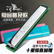 Swan brand harmonica 24 hole Polyphonic C tune children adult beginners learn self-study professional playing harmonica