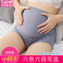 Pregnant women lace underwear during pregnancy pure cotton high waist support belly plus size early third trimester midterm early net red underwear