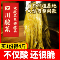 Authentic Yingshang Sichuan Laotan sauerkraut 400g * 5 bags farmhouse homemade kimchi pickles Pickles Pickles