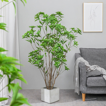 Horse drunken tree simulation green planting bell tree living room indoor home hydroponic plant floor potted landscape ornaments