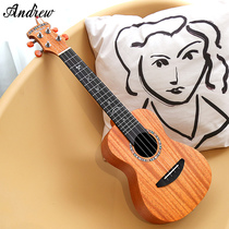 Andrew 23 inch ukulele beginner little guitar girl ukulele male ukulele Indian style