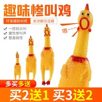 Screaming chicken miserable called chicken dogs vocal toys resistant to biting desperate fighting chicken freaks called a toy that the chickens will call.