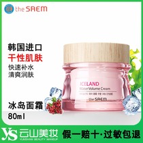 the SAEM Korea Desheng Iceland Moisturizing cream Winter water lock deep moisturizing dry skin cream