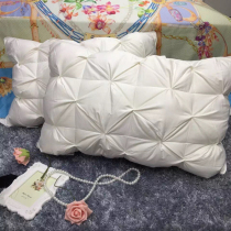 High-end Down Pillow White Duck Goose Down Pillow Core Five Star Hotel Single Adult Pillow Pair