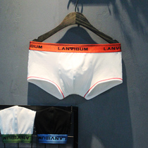 2-pack boxer briefs mens pure cotton low-waist large U convex pouch sexy pure white pants Korean version of the close-fitting tide