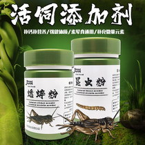 Crawl Pets Living Crab Reptile Lizard Yellow Margin Lion Lasagna Guardian Bao Wen Guardian Kun Cricket Powder Powder Additive
