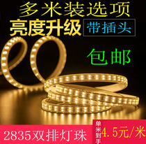 LED light strip 220V bright 2835 light strip 120 lamp bead White warm light yellow light warm white blue soft light strip