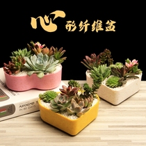 Succulent plant heart-shaped flowerpot fleshy platter flower indoor resin plastic package pot